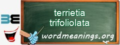 WordMeaning blackboard for terrietia trifoliolata